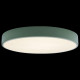 Потолочный светильник Loft IT AXEL 10002/24 Green