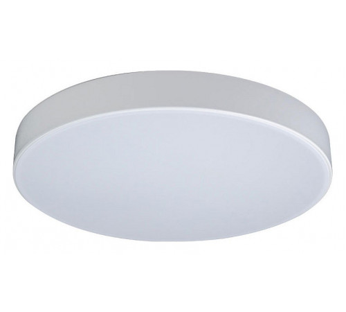 Потолочный светильник Loft IT AXEL 10002/24 White Потолочный светильник Loft IT AXEL 10002/24 White