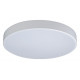 Потолочный светильник Loft IT AXEL 10002/24 White
