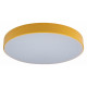 Потолочный светильник Loft IT AXEL 10002/24 Yellow