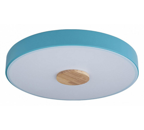 Потолочный светильник Loft IT AXEL 10003/24 Blue Потолочный светильник Loft IT AXEL 10003/24 Blue
