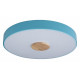 Потолочный светильник Loft IT AXEL 10003/24 Blue