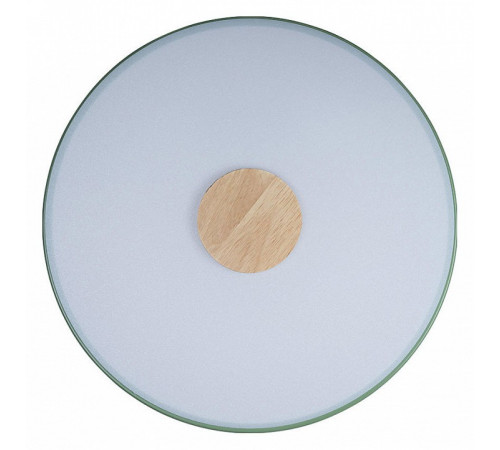 Потолочный светильник Loft IT AXEL 10003/24 Green Потолочный светильник Loft IT AXEL 10003/24 Green