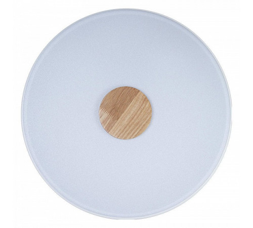 Потолочный светильник Loft IT AXEL 10003/24 White Потолочный светильник Loft IT AXEL 10003/24 White
