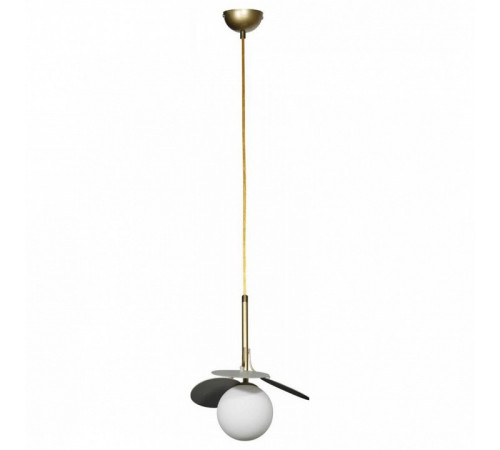 Подвесной светильник Loft IT Matisse 10008/1P Grey