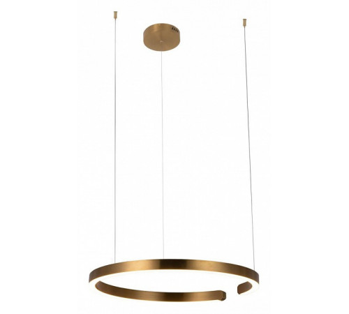 Подвесной светодиодный светильник Loft IT Ring 10013L