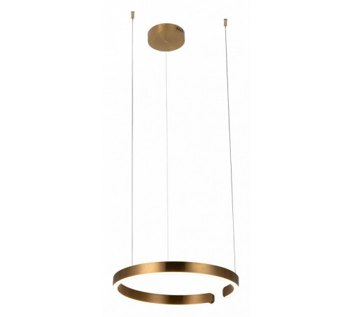 Подвесной светодиодный светильник Loft IT Ring 10013M
