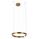 Подвесной светодиодный светильник Loft IT Ring 10013M
