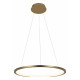 Подвесной светодиодный светильник Loft IT Ring 10014M