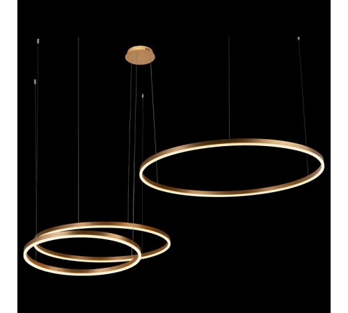 Подвесной светодиодный светильник Loft IT Ring 10017/3L