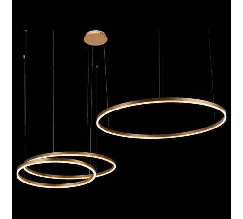 Подвесной светодиодный светильник Loft IT Ring 10017/3M