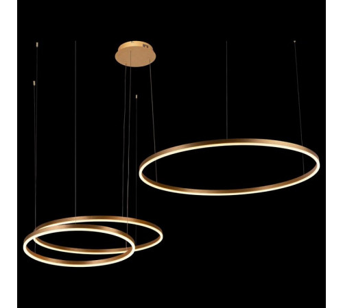 Подвесной светодиодный светильник Loft IT Ring 10017/3S