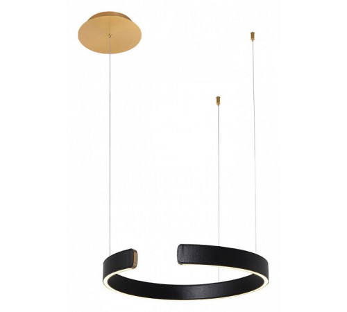 Подвесной светодиодный светильник Loft IT Ring 10025/400 Black