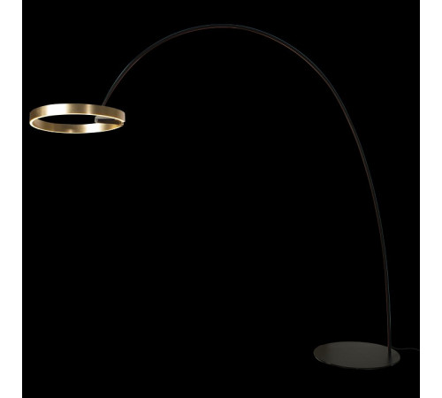 Торшер Loft IT RING 10027 Торшер Loft IT RING 10027