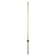 Настенный светильник Loft IT Rays 10052GD