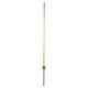 Настенный Светильник Loft IT Rays 10054GD