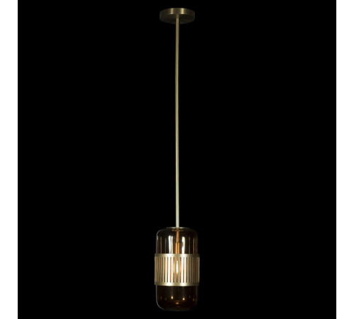 Подвесной светильник Loft IT Hudson 10098P