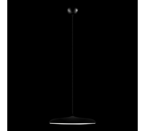 Подвесной светильник Loft IT Plato 10119 Black