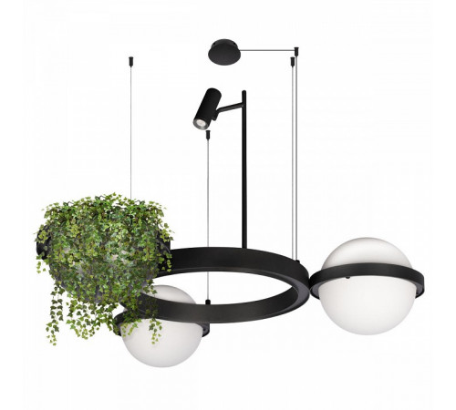 Торшер Loft IT Jardin 10121/F Dark grey Торшер Loft IT Jardin 10121/F Dark grey