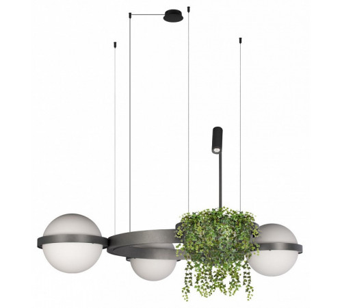 Подвесная люстра Loft IT Jardin 10121/3 Dark grey