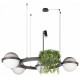 Подвесная люстра Loft IT Jardin 10121/4 Dark grey