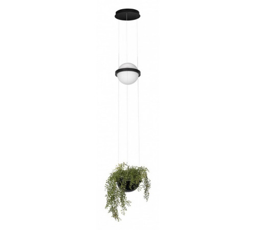Подвесной светильник Loft IT Jardin 10121/B Подвесной светильник Loft IT Jardin 10121/B