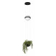 Подвесной светильник Loft IT Jardin 10121/B