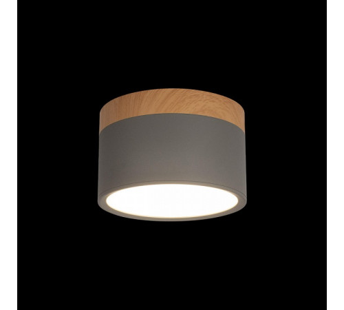 Накладной светильник Loft IT Grape 10162 Grey