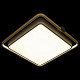 Потолочный светильник Loft IT Mike 10172