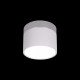 Накладной светильник Loft IT Photon 10179/7 White