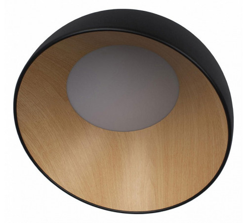Потолочный светильник Loft IT Egg 10197/350 Black Потолочный светильник Loft IT Egg 10197/350 Black