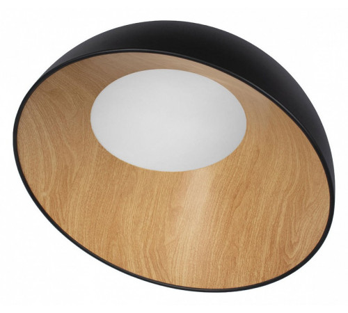 Потолочный светильник Loft IT Egg 10197/500 Black