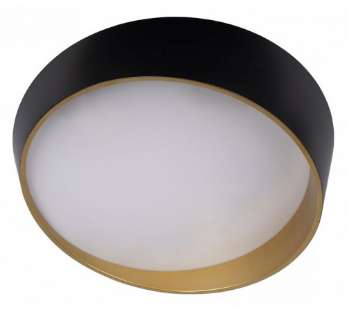 Потолочный светильник Loft IT Coin 10199 Black Потолочный светильник Loft IT Coin 10199 Black