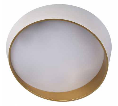 Потолочный светильник Loft IT Coin 10199 White Потолочный светильник Loft IT Coin 10199 White