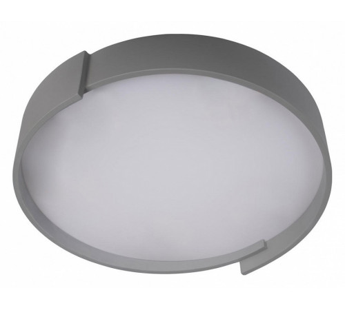 Потолочный светильник Loft IT Coin 10200 Grey