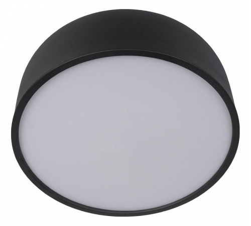 Потолочный светильник Loft IT Axel 10201/350 Black