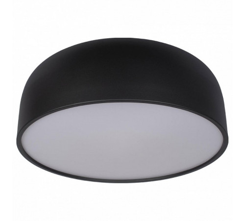 Потолочный светильник Loft IT Axel 10201/480 Black