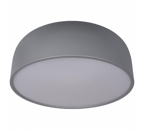 Потолочный светильник Loft IT Axel 10201/480 Grey