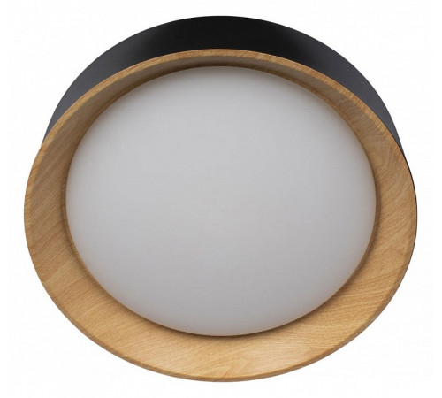 Потолочный светильник Loft IT Coin 10202 Black