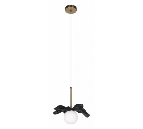 Подвесной светильник Loft IT Monro 10213/A Black Подвесной светильник Loft IT Monro 10213/A Black