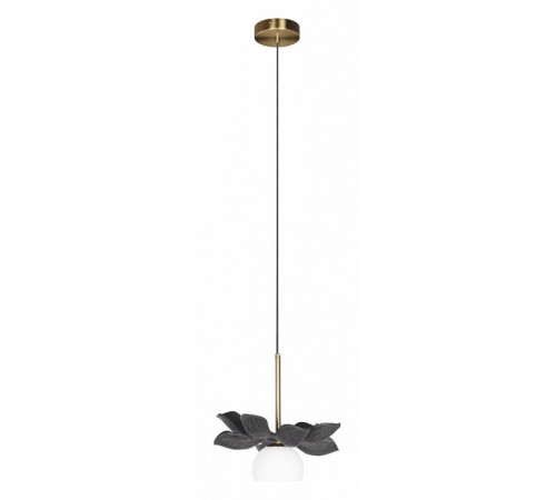Подвесной светильник Loft IT Monro 10213/B Black