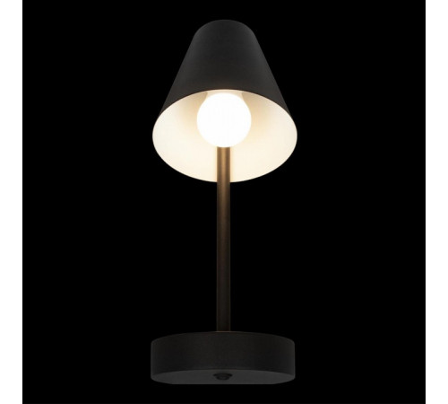 Бра Loft IT Shelf 10216/1W Black Бра Loft IT Shelf 10216/1W Black