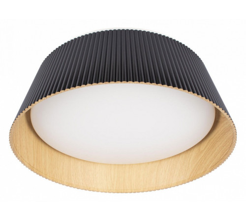 Потолочный светильник Loft IT Evans 10224 Black Потолочный светильник Loft IT Evans 10224 Black