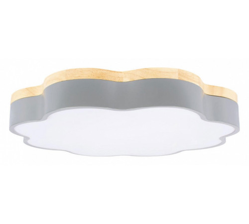 Потолочный светильник Loft IT Axel 10225/36 Grey