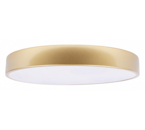 Потолочный светильник Loft IT Flims 10228/A Потолочный светильник Loft IT Flims 10228/A