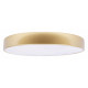 Потолочный светильник Loft IT Flims 10228/A