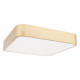 Потолочный светильник Loft IT Flims 10228/C