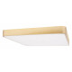 Потолочный светильник Loft IT Flims 10228/D