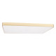 Потолочный светильник Loft IT Flims 10228/E