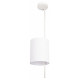 Потолочный светильник Loft IT Ritz 10253P White